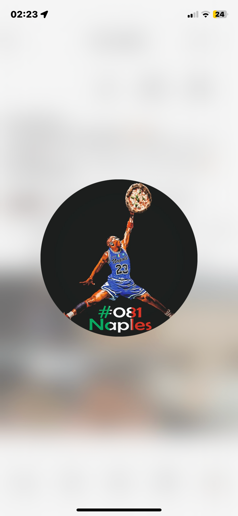 Logo #081#naples