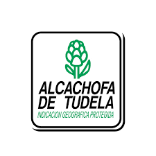   ( I.G.P. )    Alcachofa de Tudela 