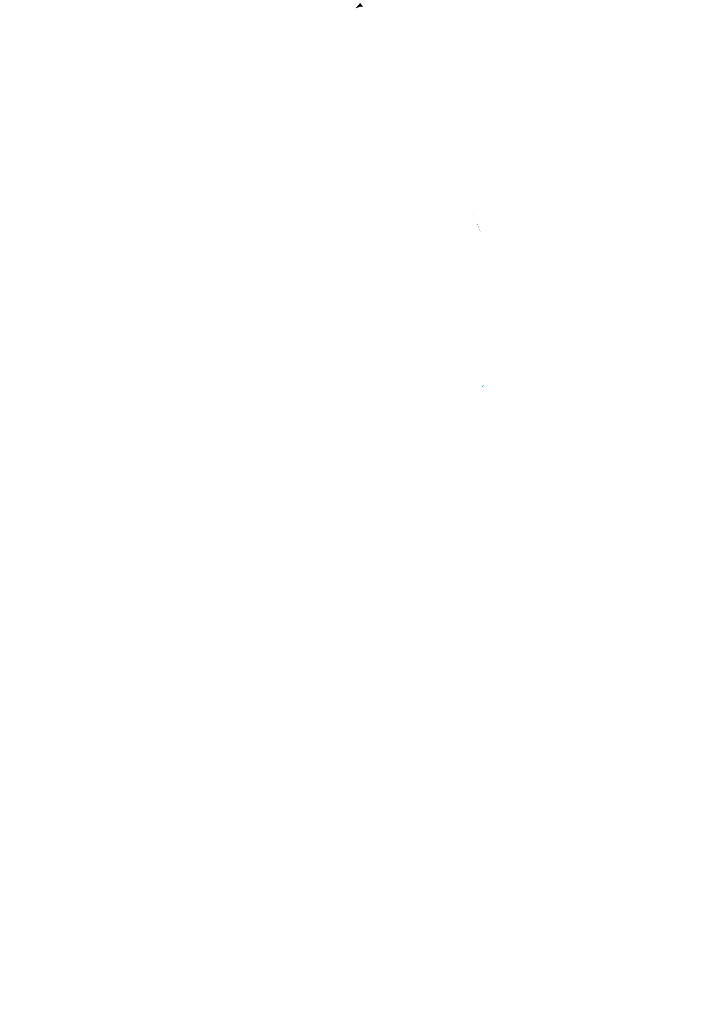 Logo SPA LAGO